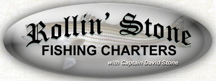 Rollin' Stone Fishing Charters with Captain David Stone, fishing out of Somers Cove Marina in Crisfield MD